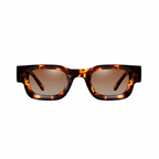 CANNES Havana brown polarized sunglasses front view on pure white